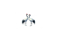 Thumbnail for Red-Crowned Crane Pair Throw Pillow | Elegant Bird Couple Decorative Pillow | Nature Lover Gift